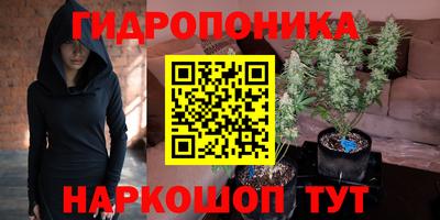 ешки Рязань
