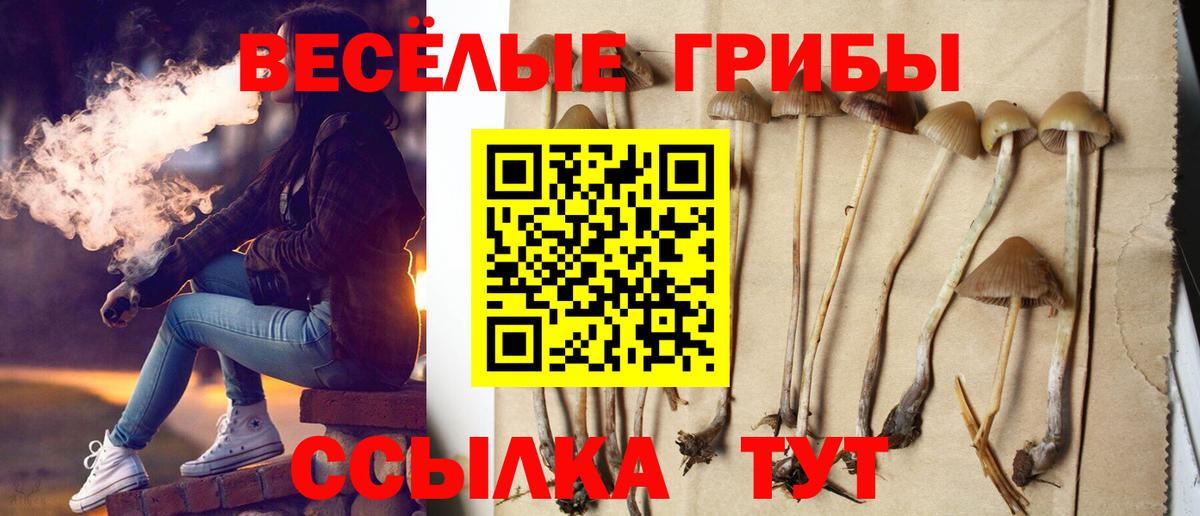 Галлюциногенные грибы мухоморы  Вход с VPN  где найти   Солнечногорск 
