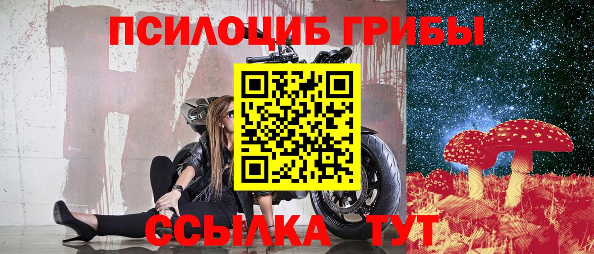 Псилоцибиновые грибы Psilocybine cubensis Солнечногорск